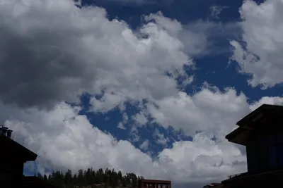 DSC_3157 (Large).JPG